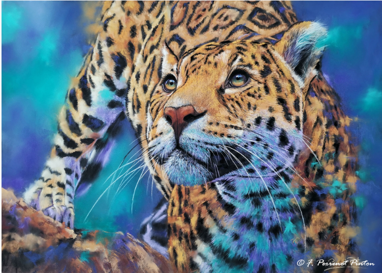 Bild eines Leoparden